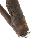 Pet Parrot Bird Standing Stick Birdcage Stand Pole Perch Bite Claw Grinding T_