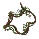 Repitals Climbing Jungle Vine Natural Habitat Decor for  Geckos M