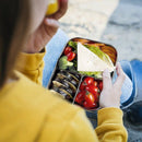 Stainless Steel Bento Box Lunch Container,3-Compartment Bento Lunch Box for
