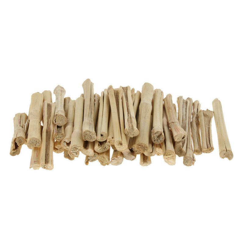 Natural Sweet Bamboos Chew Toys Small Animals Snacks for Rabbits Hamster