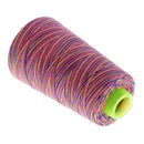 Rainbow Color Polyester Sewing Thread 40s/2 for Hand and Sewing Machine 5#