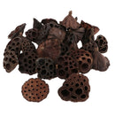 60pcs Natural Dried lotus pod Flowers Fruit for floral decor crafts DIY
