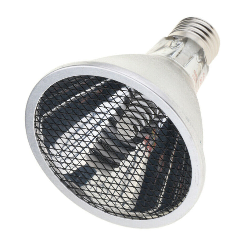 Reptile Amphibian Turtle Lizard Chameleon Heating Lamp Ceramic Heater Light 100W