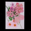 2Set Pressed Leaves Natural Dried Flower Embellishment For Scrapbook Card Making