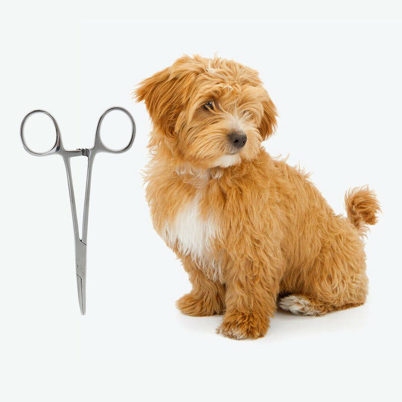 14cm Dog Cat Pet High Quality Stainless Steel Hemostat Forceps Scissors Ear Hair