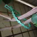 30pcs 16.5cm Plastic Cable Ties Gardening Clips Plant Ties Green