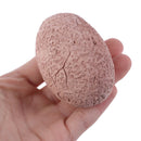 DIY Dinosaur Eggs Excavation Toys Novelty Gag Fossils For Child Educational T JR
