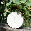 Pack 6 Creative Artificial Pine Nuts Plant Home Wedding Garden Decor B