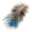 100pcs Beautiful Natural Peacock Feather Plume Christmas Holiday Decoration DOZ