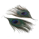 1 Pair Peacock Multicolor Feather Fashion Dangle Earrings