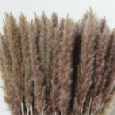 15X/Set Natural Dried Pampas Grass Reed Home Wedding Flower Bunch Decor J8