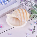 1Pcs Artificial Shell Sea Conch Fish Tank Aquarium Decorations Roll Shellf BX