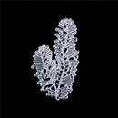 1set Tree Metal Cutting Dies Stencil Photo Album Decor Embossing Cards Craft B3C