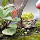 Moss Micro Landscape Ornaments Love Pot Plant Mix Size Fairy Garden DecorCraftLJ