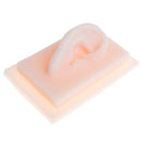 4 Pieces Silicone 1:1 Lifesize Ear Acupuncture Statue School Study Set