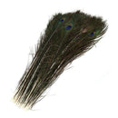 20pcs Beautiful Natural Peacock Feathers for Birthday Party Gift Banque DIY DBH