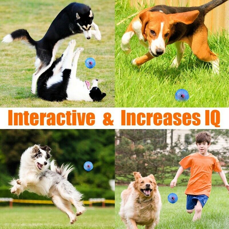 Interactive Dog Toys, Dog Chew Toys Ball for Small Medium Dogs, Iq Treat Bo A3L4