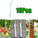 Set Of 10 Tomato Hook Holder Clips For Planting Vegetables