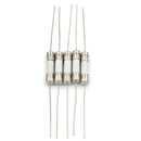 5Pcs 10A 250V ceramic body time-lag axial lead fuse for lcd-tv etc 5*20mmSR FT