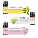6 Bottles 10ml Essential Aromatherapy Oil Pure Natural Set for Aroma Diffuser