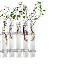6 Glass Tubes Shape Hanging Hydroponic Flower Plant Vase Terrarium Containe K8R7