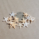 20 Cute  Small Mini Starfish Sea Star Shell Beach Deco Craft DIY Making 3cm-5cm