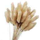 50Pcs Natural Raw Color Dried Flowers Real Flower Bouquet for Home Wedding