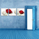 3 Panel Canvas Prints Artwork Modern Paintings Wall Art Home Decoration