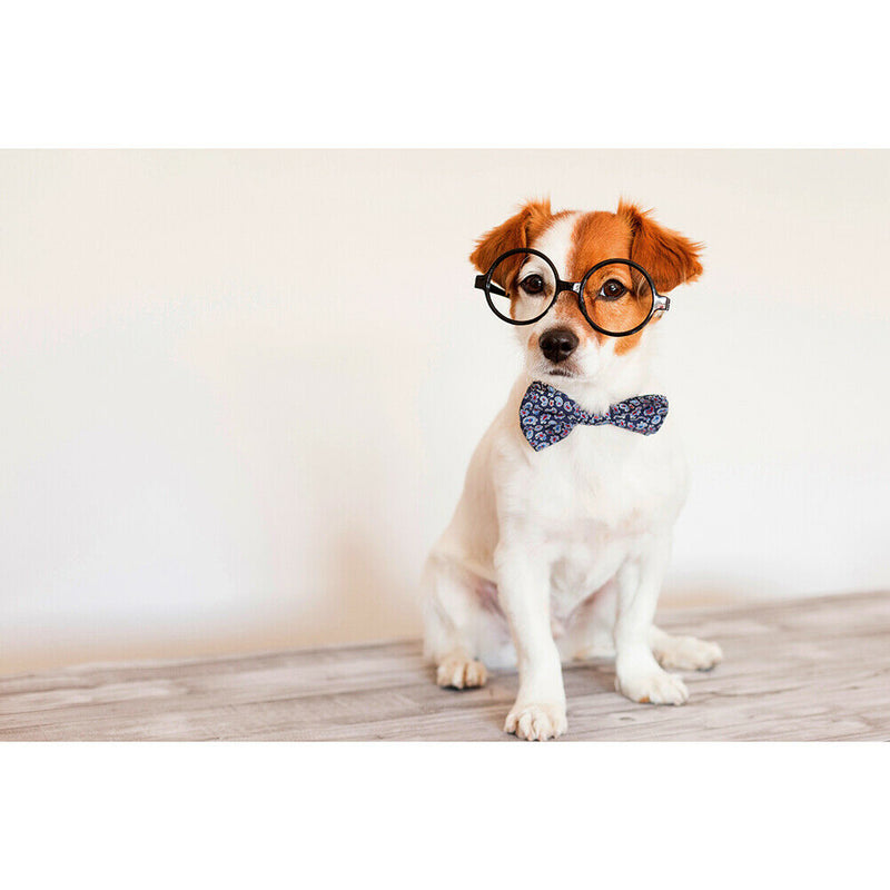 1000pcs DIY Glasses Necktie Dog Puzzle Educational Jigsaw Toys Picture Gift