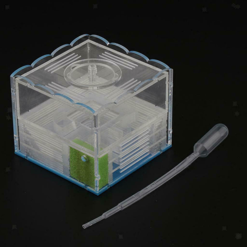 Clear Ant Feeding Nursery Box Ant Farm House Castle Insect Terrarium  L