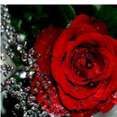 DIY 5D Diamond Painting Embroidery Cross Stitch Kit Wall Art Decor Red Rose