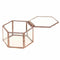 Geometric Glass Terrarium Box Jewelry Box Glass Succulent Plant Pot Deco He