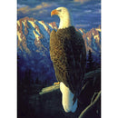 DIY 5D Drawing Full Round Drill Serious Eagle Kit Diamond Painting Ornament