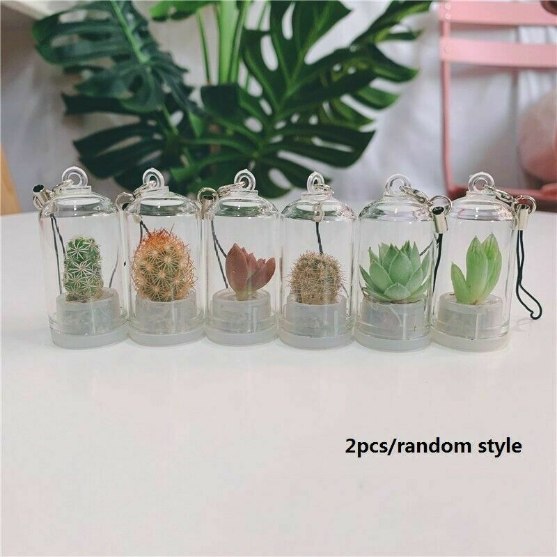 2Pcs Cute Mini Cactus Plant Keychain Keyring Charm Smartphone Pendant Chain