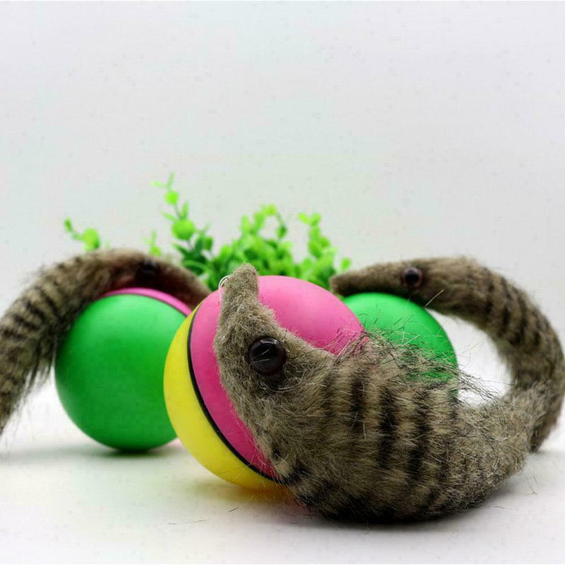 Best Cat Toys Interactive Teaser Chase Moving Weasel Battery Q0T7 Roll Ball J7Y6