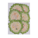 6x Dried Vegetable Bitter Gourd Slices Specimen for DIY Mobile Phone Case