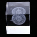 Dandelion Crystal Cube Paperweight Fengshui Crystal Home Decoration Props
