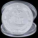 2020 Year of the Rat Commemorative Coin Mouse Money Souvenir Collectible Co_