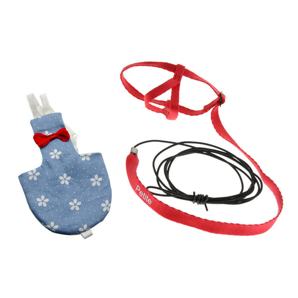 Pet Bird Parrot Outdoor Supplies - Diaper(Blue XS) & Leash Harness(Red XS)