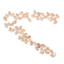 Sea Shell Perles naturel en vrac Accessoires pour Fish Tank Decor Craft J 3C