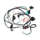 Full Electrics Wiring Harness Coil CDI 50-110CC ATV Quad Bike Buggy Go Kart