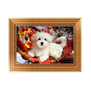 Dog Diamond Embroidery 5d Diamond DIY Painting Animal Cross Stitch