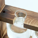 Hanging Glass Vase Landscape Terrarium With Wooden Stand Decor 2 Bottle