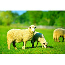 1000pcs DIY Alpaca on Grass Puzzle Educational Jigsaw Toys for Children