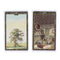 36Pcs/box Lenormand Oracle Cards English Version Board Game Tarot Deck CardS Ew