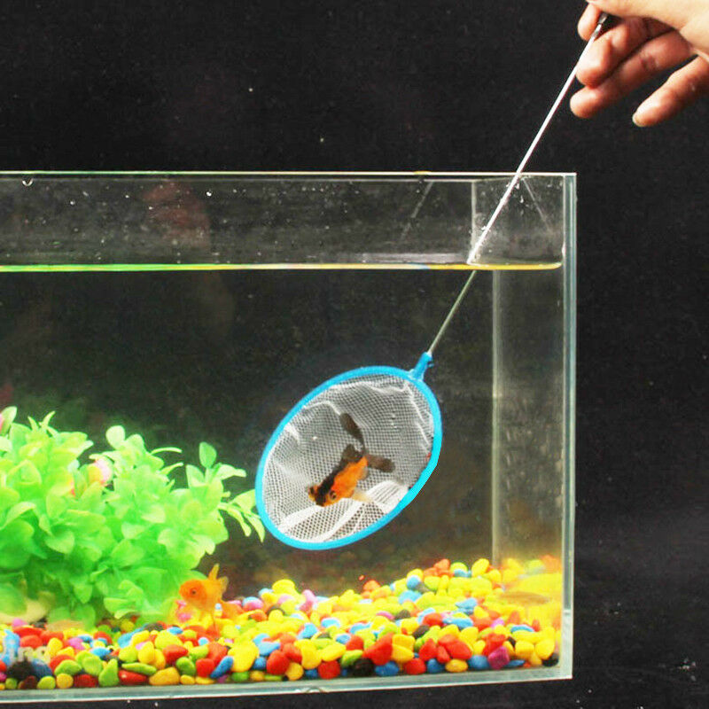 3Pcs Aquarium Fish Net Stainless Frame Fish Shrimp Tank Landing Cleaning  Dcql