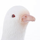 Magic Simulation Pigeons Prank Toys Novelty Tricks for Beginners Kids 4 5 6 7 8