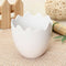 Egg Shaped Flower Plant Pot Container Planter Holder Home Office Garden Dec