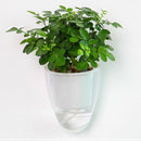 2 Pieces White Self-Watering Flower Pot Container, Hanging Planter with