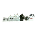 Lovely Cats Clothes Patches Stickers Iron-on Heat Transfers DIY Appliqued B TE